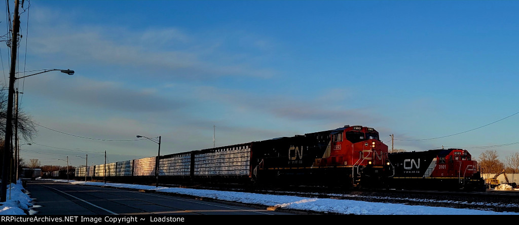 CN 2993 IC 3101